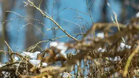 Trochę wiosny, trochę zimy... - zdjęcie 3