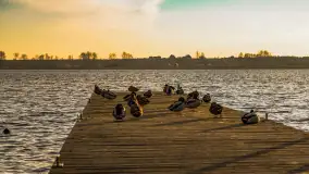 Zachód słońca w Rynie, jezioro Ryńskie, styczeń 2023 - zdjęcie 5