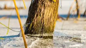 Rzeka Dajna i okolice, luty 2023 - zdjęcie 62