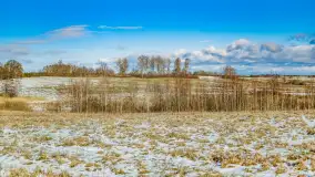 Rzeka Dajna i okolice, luty 2023 - zdjęcie 39