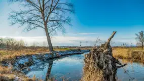 Rzeka Dajna i okolice, luty 2023 - zdjęcie 71