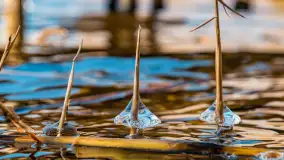 Zatoka Mrówcza, jezioro Ryńskie, luty 2023 - zdjęcie 17