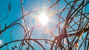 Zatoka Mrówcza, jezioro Ryńskie, luty 2023 - zdjęcie 41