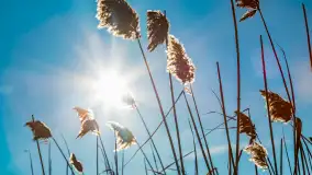 Zatoka Mrówcza, jezioro Ryńskie, luty 2023 - zdjęcie 12