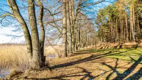 Zatoka Mrówcza, jezioro Ryńskie, luty 2023 - zdjęcie 38