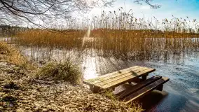 Zatoka Mrówcza, jezioro Ryńskie, luty 2023 - zdjęcie 22