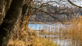 Zatoka Mrówcza, jezioro Ryńskie, luty 2023 - zdjęcie 30