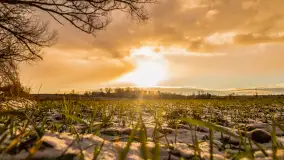 Zachód słońca w okolicy rzeki Guber, luty 2023 - zdjęcie 19
