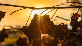 Zachód słońca w okolicy rzeki Guber, luty 2023 - zdjęcie 11