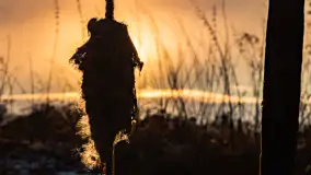 Zachód słońca w okolicy rzeki Guber, luty 2023 - zdjęcie 18