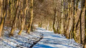 Spacer po lesie kętrzyńskim, górka poznańska i rzeka Guber - zdjęcie 7