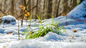 Spacer po lesie kętrzyńskim, górka poznańska i rzeka Guber - zdjęcie 3