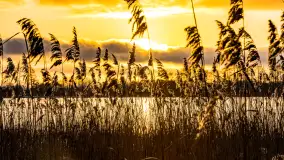 Zachód słońca nad jeziorem Mój, luty 2023 r. - zdjęcie 3