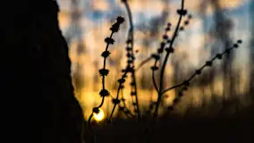 Zachód słońca nad jeziorem Mój, luty 2023 r. - zdjęcie 38