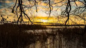 Zachód słońca nad jeziorem Mój, luty 2023 r. - zdjęcie 4