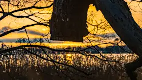 Zachód słońca nad jeziorem Mój, luty 2023 r. - zdjęcie 36