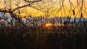 Zachód słońca nad jeziorem Mój, luty 2023 r. - zdjęcie 5