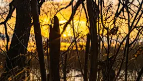 Zachód słońca nad jeziorem Mój, luty 2023 r. - zdjęcie 12