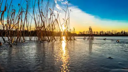 Kolejny zachód nad jeziorem Ryńskim, luty 2023