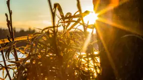 Kolejny zachód nad jeziorem Ryńskim, luty 2023 - zdjęcie 34