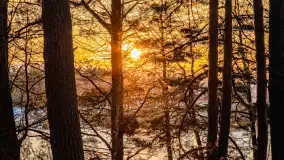 Kolejny zachód nad jeziorem Ryńskim, luty 2023 - zdjęcie 38