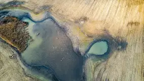 Wiosenne zbiorowiska ptaków, luty 2023 r. - zdjęcie 12