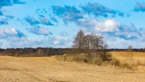 Wczesne przedwiośnie na Mazurach, luty 2023 r. - zdjęcie 43