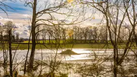 Wczesne przedwiośnie na Mazurach, luty 2023 r. - zdjęcie 32