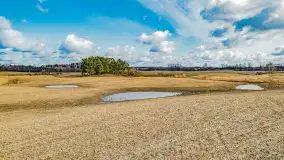 Wczesne przedwiośnie na Mazurach, luty 2023 r. - zdjęcie 66