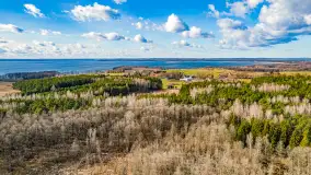 Wczesne przedwiośnie na Mazurach, luty 2023 r. - zdjęcie 58