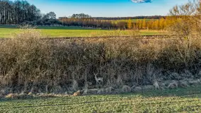 Wczesne przedwiośnie na Mazurach, luty 2023 r. - zdjęcie 69