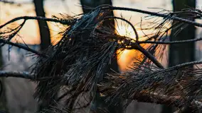 Zachód słońca nad jeziorem Siercze, luty 2023 - zdjęcie 20