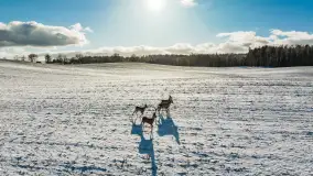 Niedzielne popołudnie widziane z drona, Ryn i okolice - zdjęcie 8