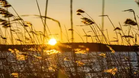 Zachód słońca nad jeziorem Kirsajty, luty 2023 r. - zdjęcie 16