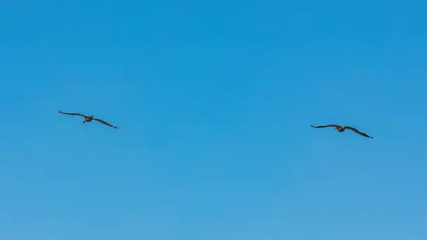 Słonecznie i zimowo przy moście Sztynorckim - zdjęcie 7