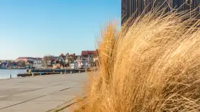 Jak wyglądają Mikołajki pod koniec zimy? Ano tak. - zdjęcie 38