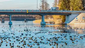 Jak wyglądają Mikołajki pod koniec zimy? Ano tak. - zdjęcie 20