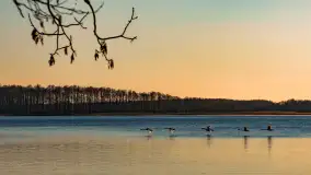 Zachód słońca nad jeziorem Mamry, luty 2023 r. - zdjęcie 14