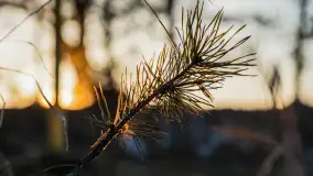 Zachód słońca nad jeziorem Gołdopiwo, marzec 2023 r. - zdjęcie 38