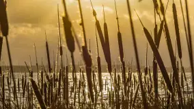 Zachód słońca nad Niegocinem widoczny z dzikiej plaży - zdjęcie 12