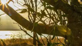 Zachód słońca nad Niegocinem widoczny z dzikiej plaży - zdjęcie 48