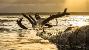 Zachód słońca nad Niegocinem widoczny z dzikiej plaży - zdjęcie 42