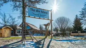 Tło dla Mew u progu nowego sezonu 2023 - zdjęcie 1