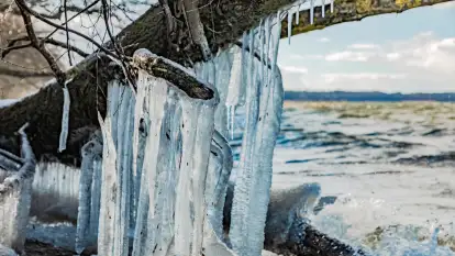 Południowy brzeg jeziora Negocin, lodowe formy, marzec 2023