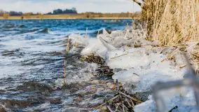 Południowy brzeg jeziora Negocin, lodowe formy, marzec 2023 - zdjęcie 5