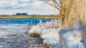 Południowy brzeg jeziora Negocin, lodowe formy, marzec 2023 - zdjęcie 22