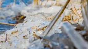 Południowy brzeg jeziora Negocin, lodowe formy, marzec 2023 - zdjęcie 14