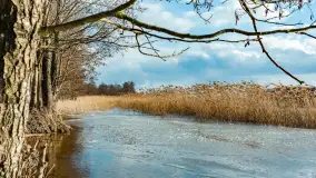 Grodzisko Św. Góra, jezioro Wojnowo, marzec 2023 r. - zdjęcie 27