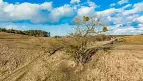 Grodzisko Św. Góra, jezioro Wojnowo, marzec 2023 r. - zdjęcie 51