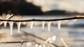 Jezioro Gołdopiwo na początku marca 2023 r. - zdjęcie 26